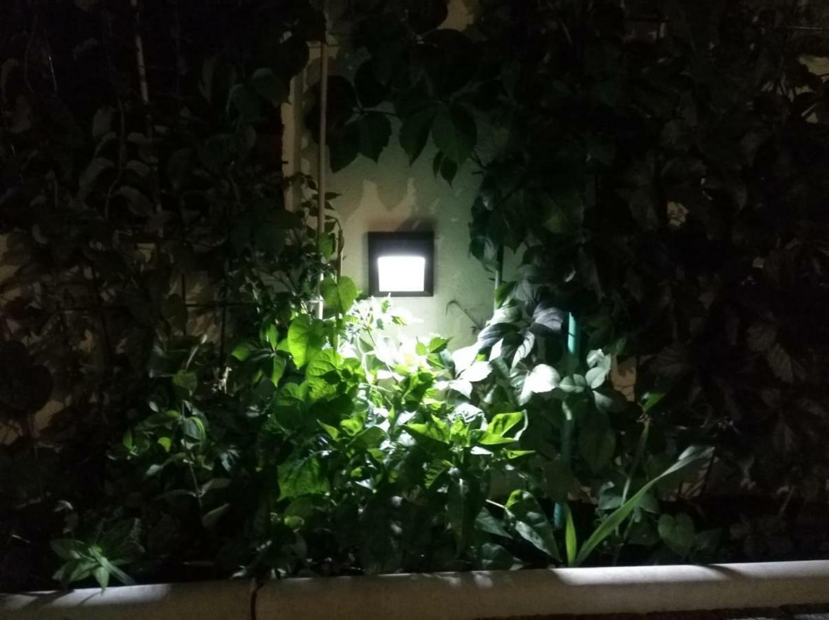 Apartman Pejic,Makarska,Veliko Brdo Exteriör bild